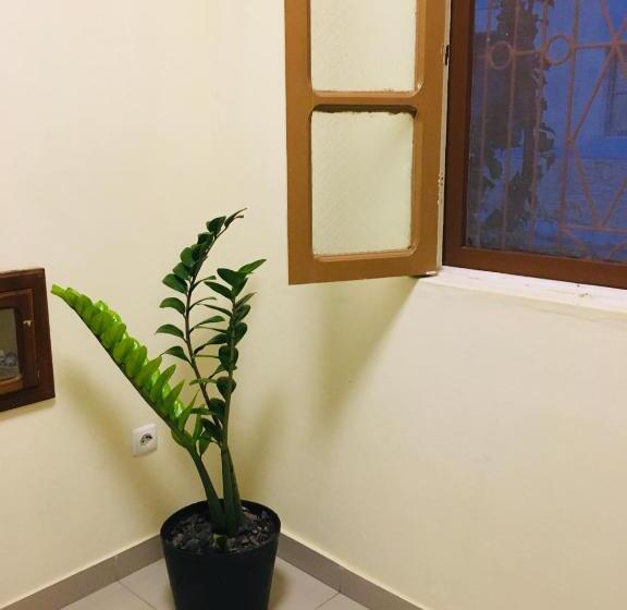 تختخواب و صبحانه Constança Retreat