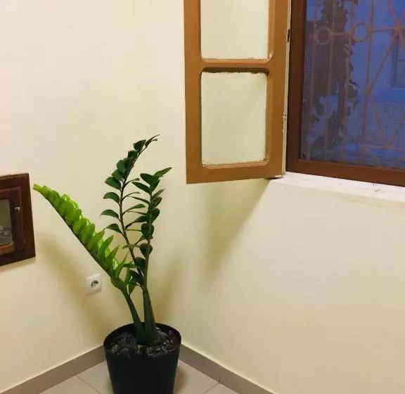 تختخواب و صبحانه Constança Retreat