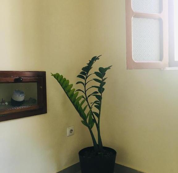 تختخواب و صبحانه Constança Retreat