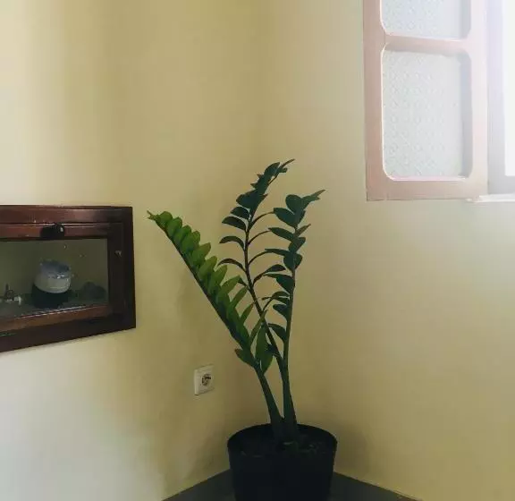 تختخواب و صبحانه Constança Retreat