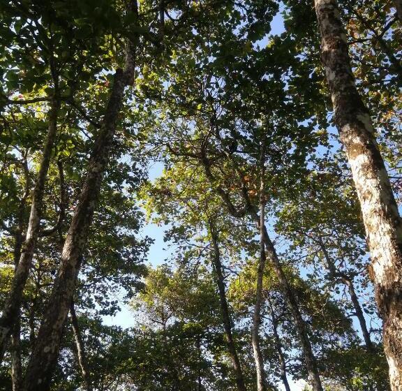 צימר Hostel Hook And Cook