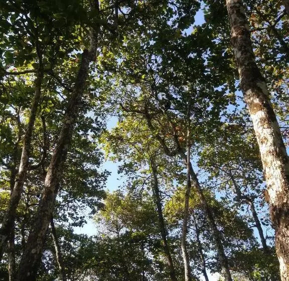 تختخواب و صبحانه Hostel Hook And Cook