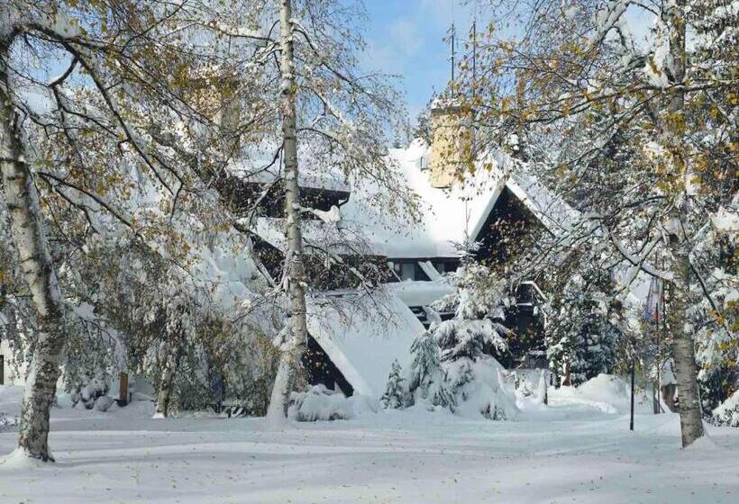 Breza Hotel Borovets