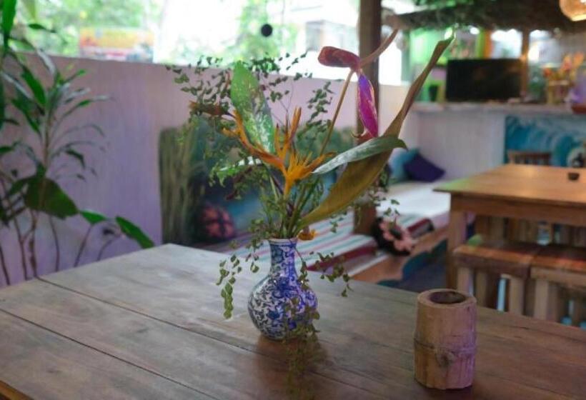 Hostel Tharu, Surf Camp & Restaurant