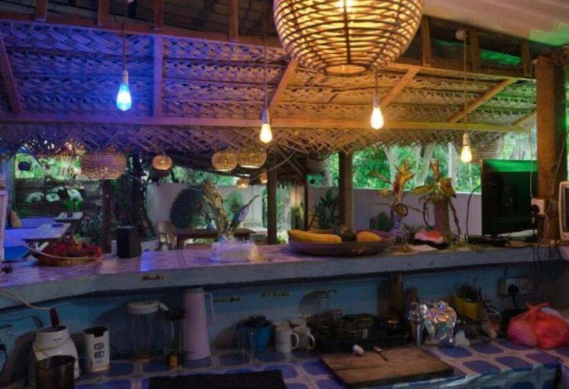 Hostel Tharu, Surf Camp & Restaurant