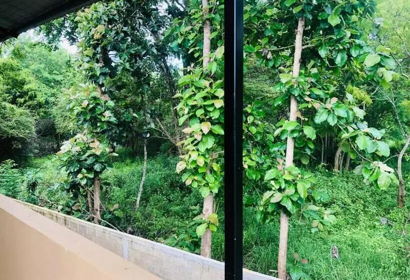 ホテル Lolu Lodge