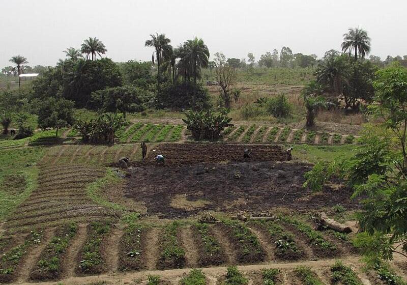 هتل Plaisirs Campagnards De Glo Djgbé