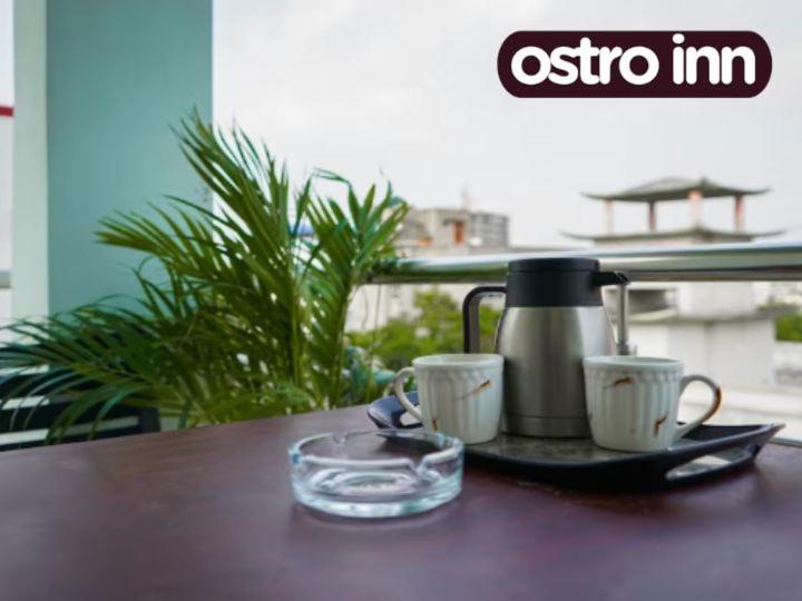 Pension Ostro Inn Newtown