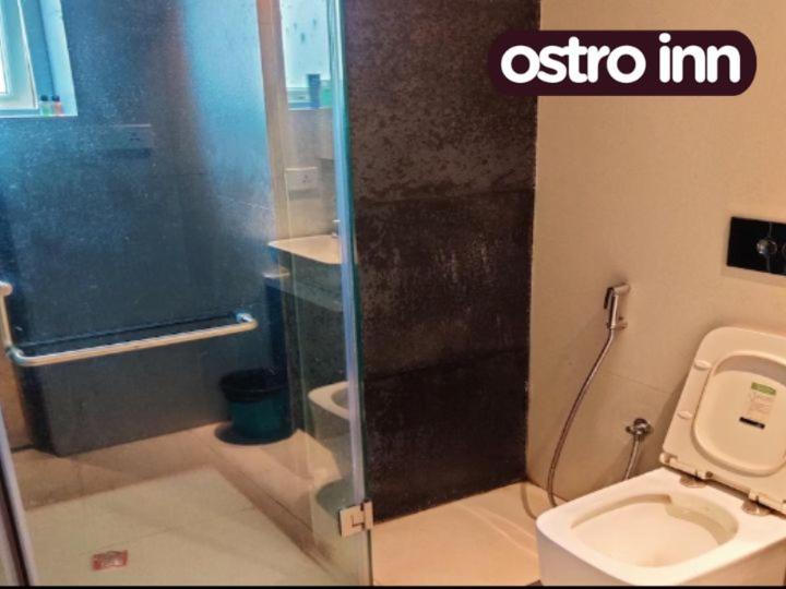 Pension Ostro Inn Newtown