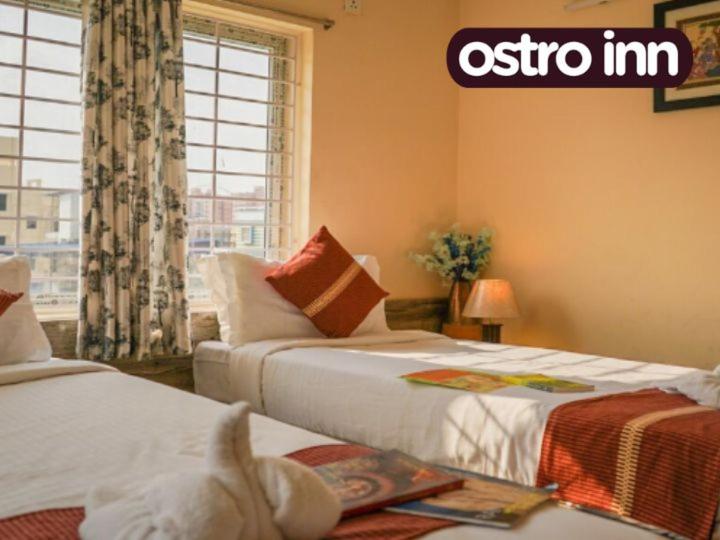 Pension Ostro Inn Newtown