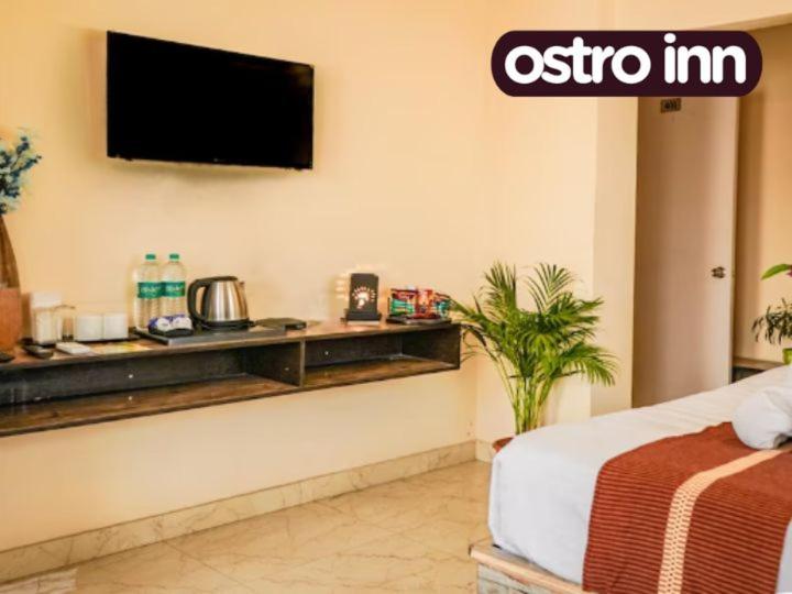 Pension Ostro Inn Newtown