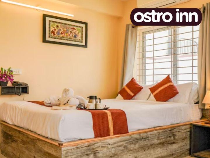 Pension Ostro Inn Newtown