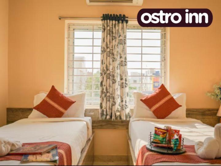 Pension Ostro Inn Newtown