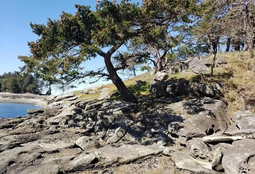 リゾートホテル Page S Inn On Silva Bay