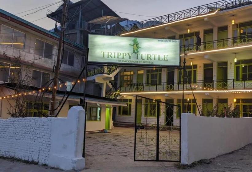 Trippy Turtle Hostel