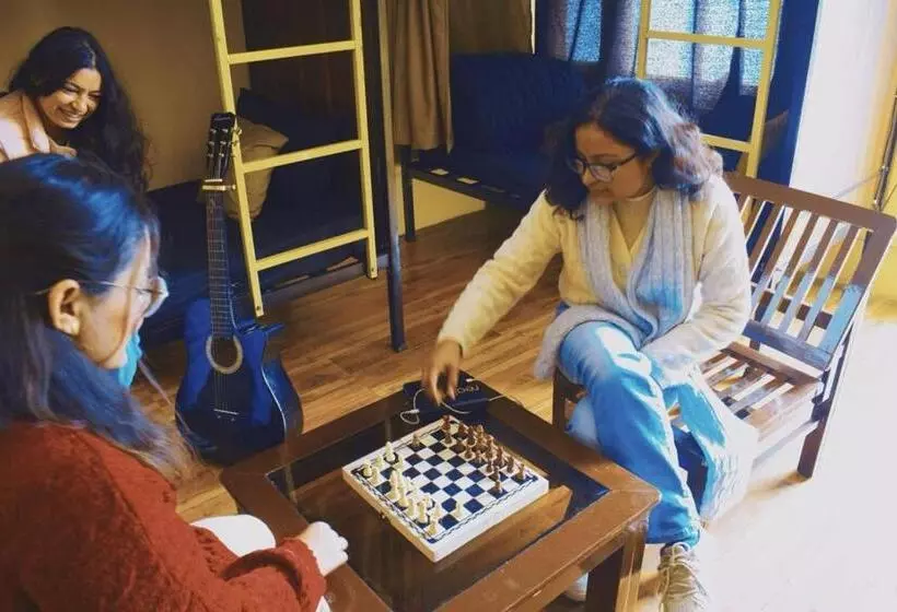 Trippy Turtle Hostel