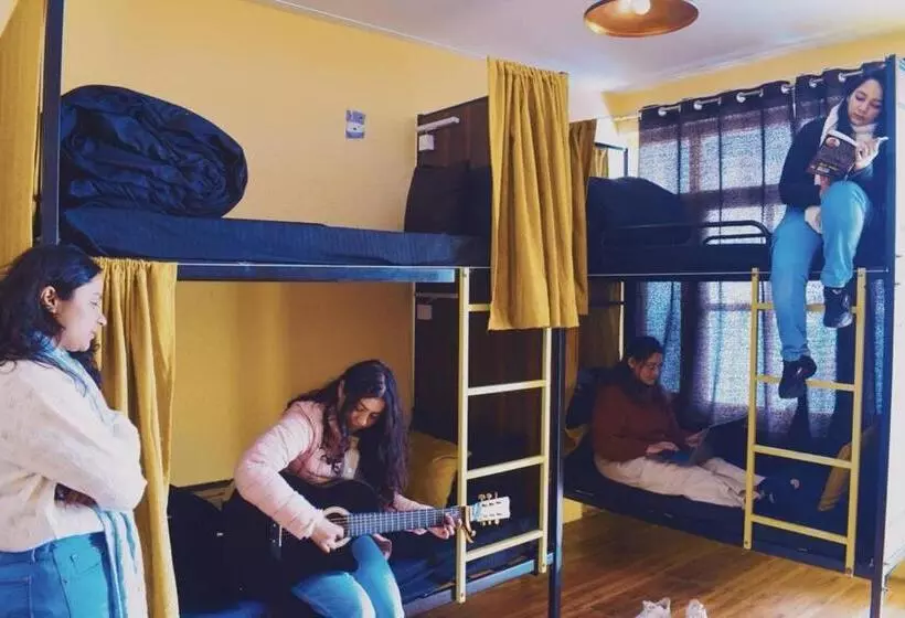 Trippy Turtle Hostel