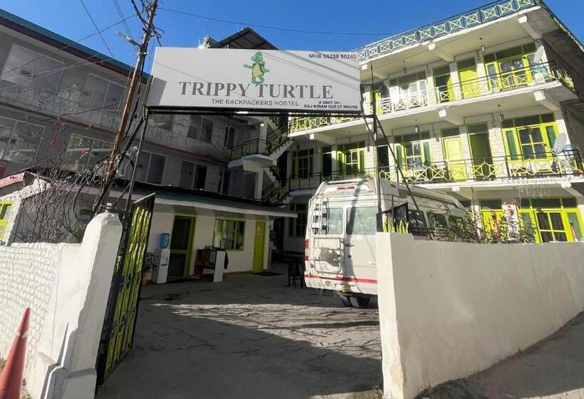 Trippy Turtle Hostel