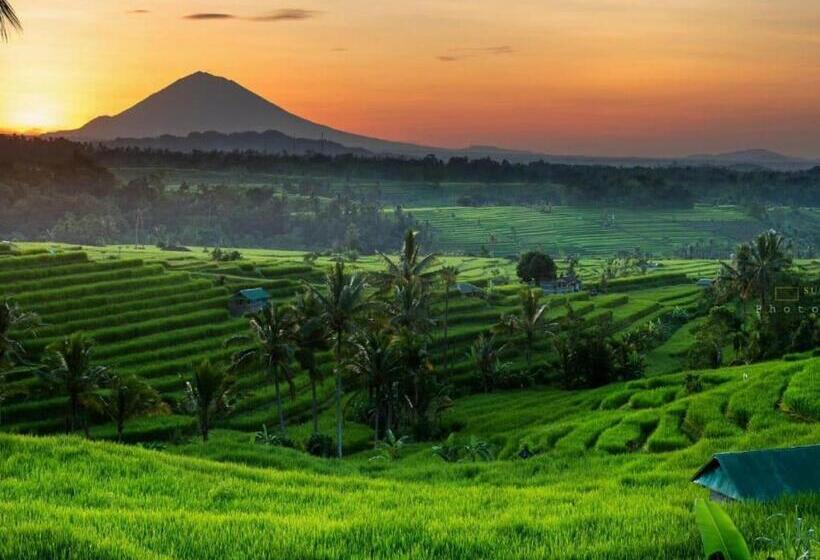 צימר Buruan Sari Villas