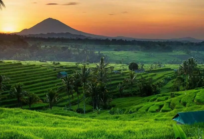 Aamiaismajoitus (B&B) Buruan Sari Villas