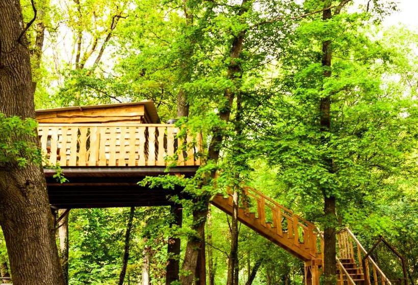 Bed and Breakfast Cabane Perchée Chez Yahmz