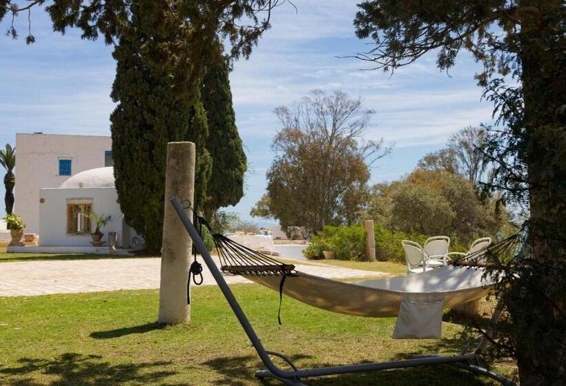 Bed and Breakfast Lella Zohra, Studio Avec Piscine à Sidi Bou Said