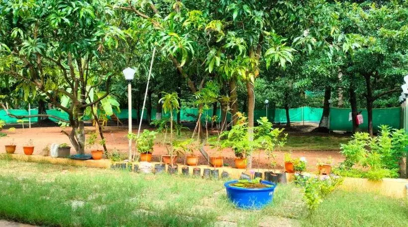 Chickoolitchi Agro Farm And Resort