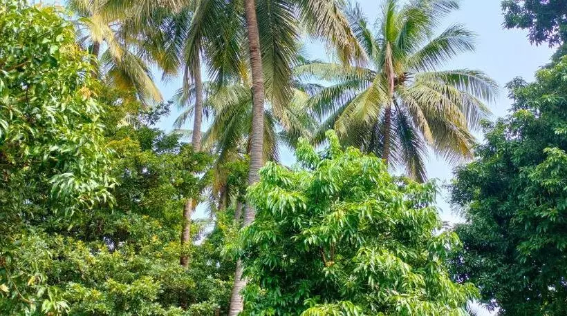 Chickoolitchi Agro Farm And Resort