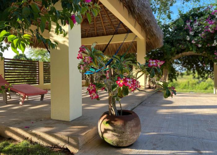 호텔 Casa De Las Libélulas