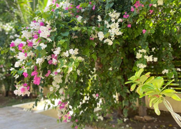 호텔 Casa De Las Libélulas