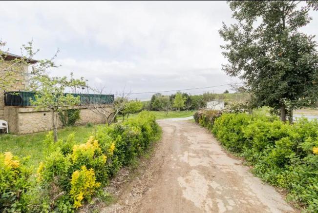 Отель Casa Finca La Garita