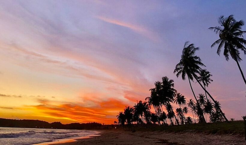 فندق Fantas Folly Beach Lodge