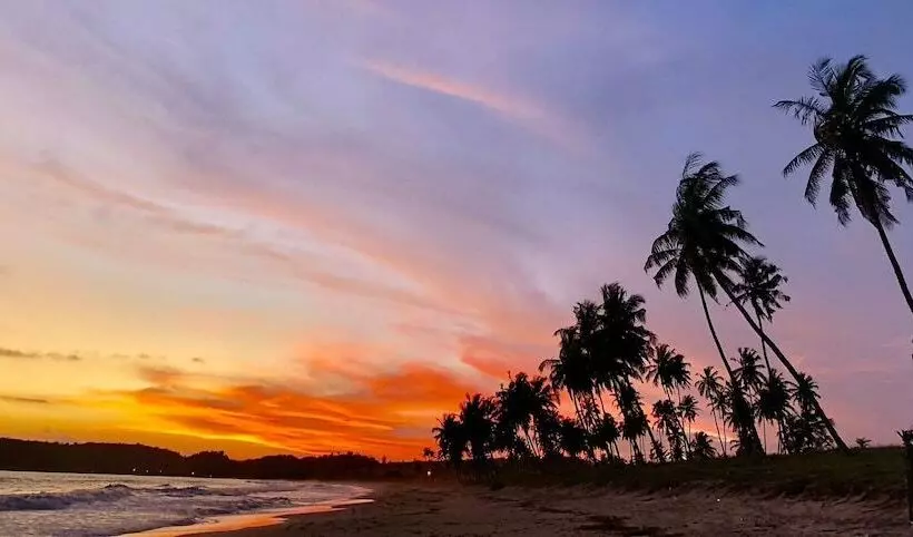 Hotelli Fantas Folly Beach Lodge