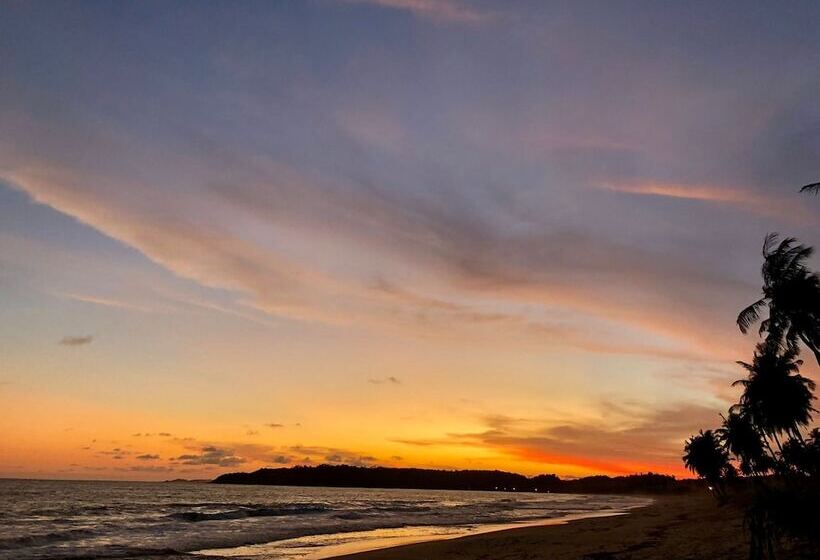 فندق Fantas Folly Beach Lodge