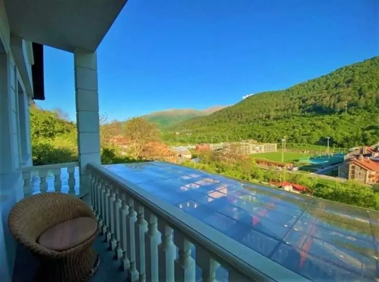 ホテル Panorama Dilijan Guest House