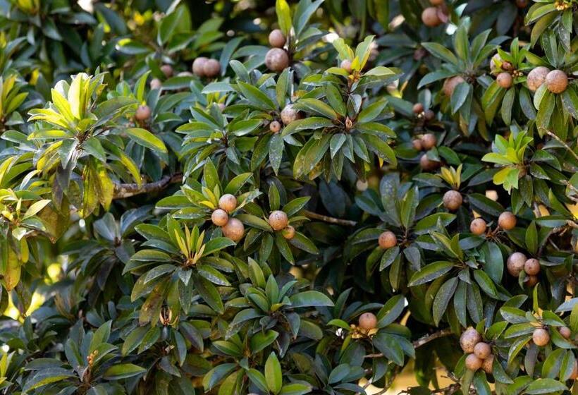 호텔 Stone Wood Jungle Resort, Dandeli