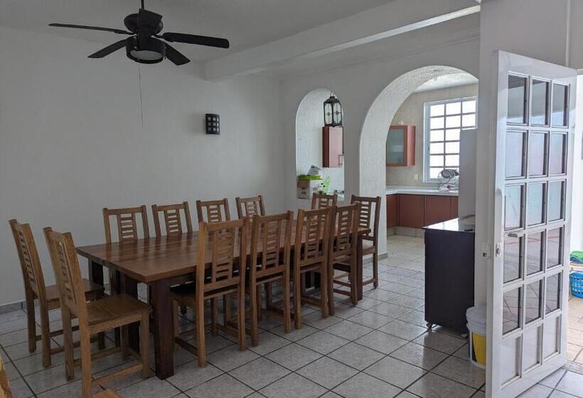 Panzió Hostal El Pulpo   Internet Starlink