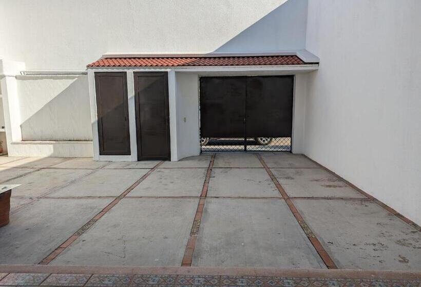 Panzió Hostal El Pulpo   Internet Starlink