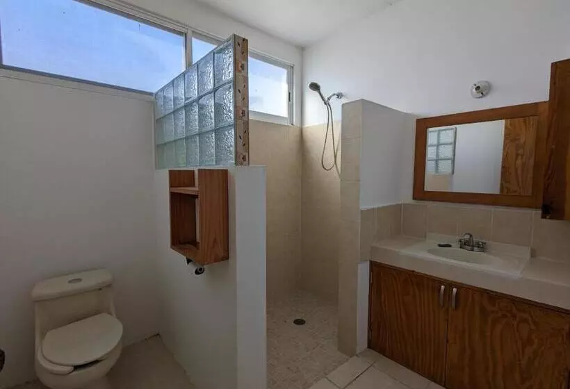 پانسیون Hostal El Pulpo Internet Starlink