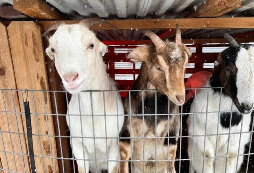 膳宿费 Ponderosa Guest Suite