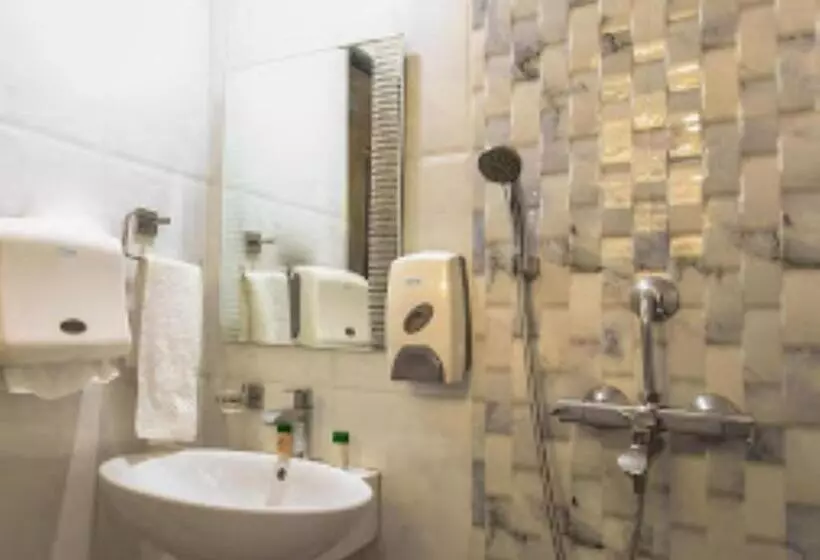 Skylight Royal Stay A Boutique Resort
