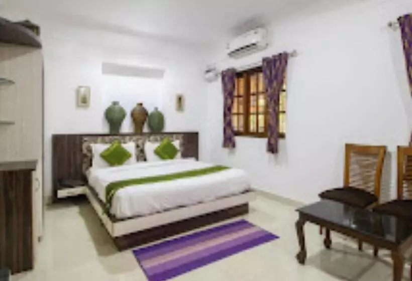 Skylight Royal Stay A Boutique Resort