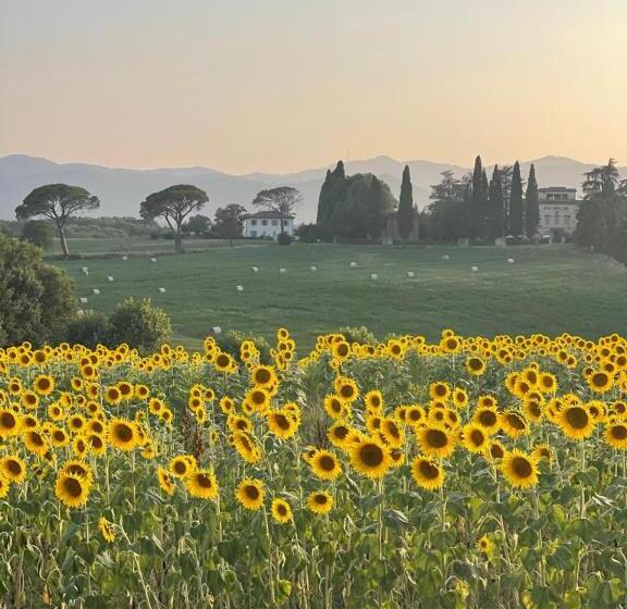 Bed and Breakfast Casa Le Rondini Toscana