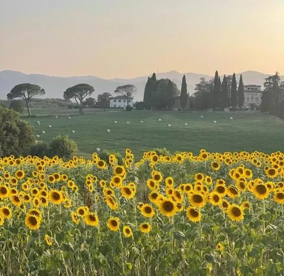 ベッドアンドブレックファースト Casa Le Rondini Toscana