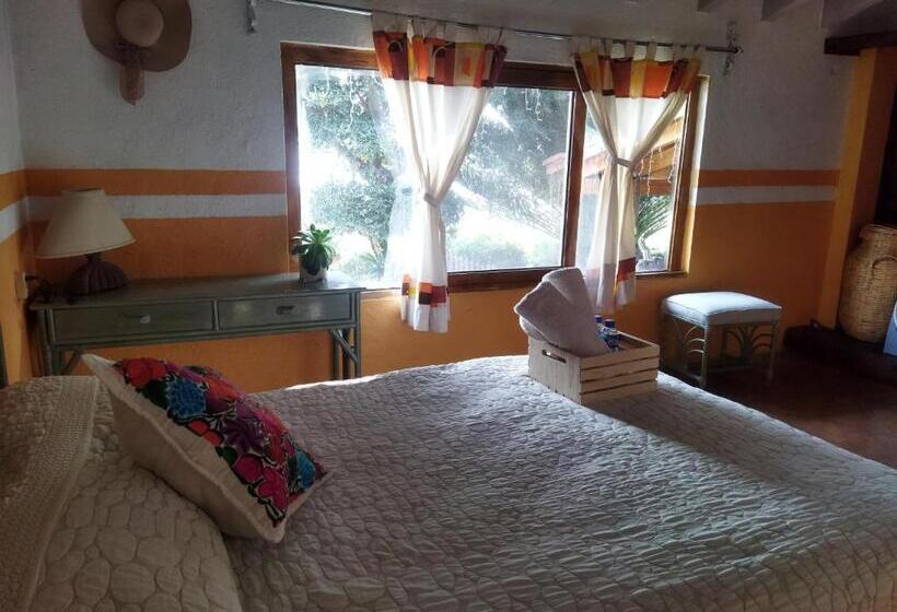 住宿加早餐  Casa Los Olivos