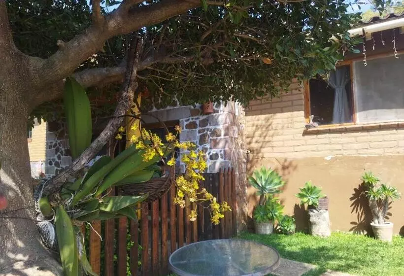 Aamiaismajoitus (B&B) Casa Los Olivos
