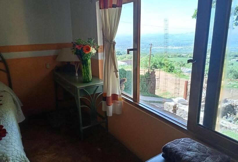 住宿加早餐  Casa Los Olivos