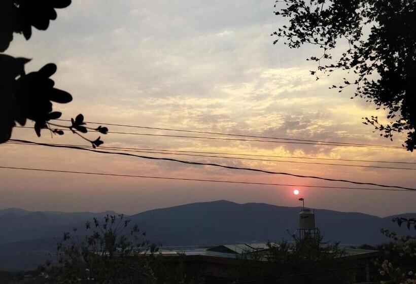 住宿加早餐  Casa Los Olivos