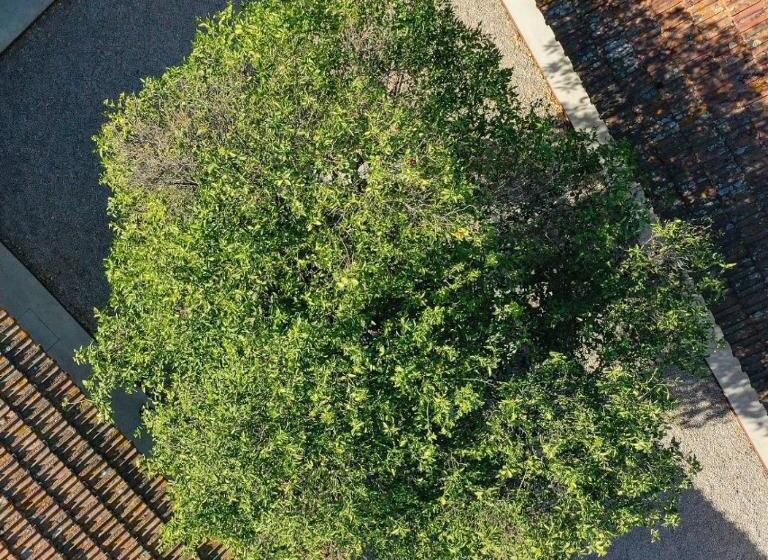 בית מלון כפרי Coliving Fim Do Mundo