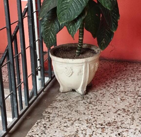 هتل Los ángeles 1